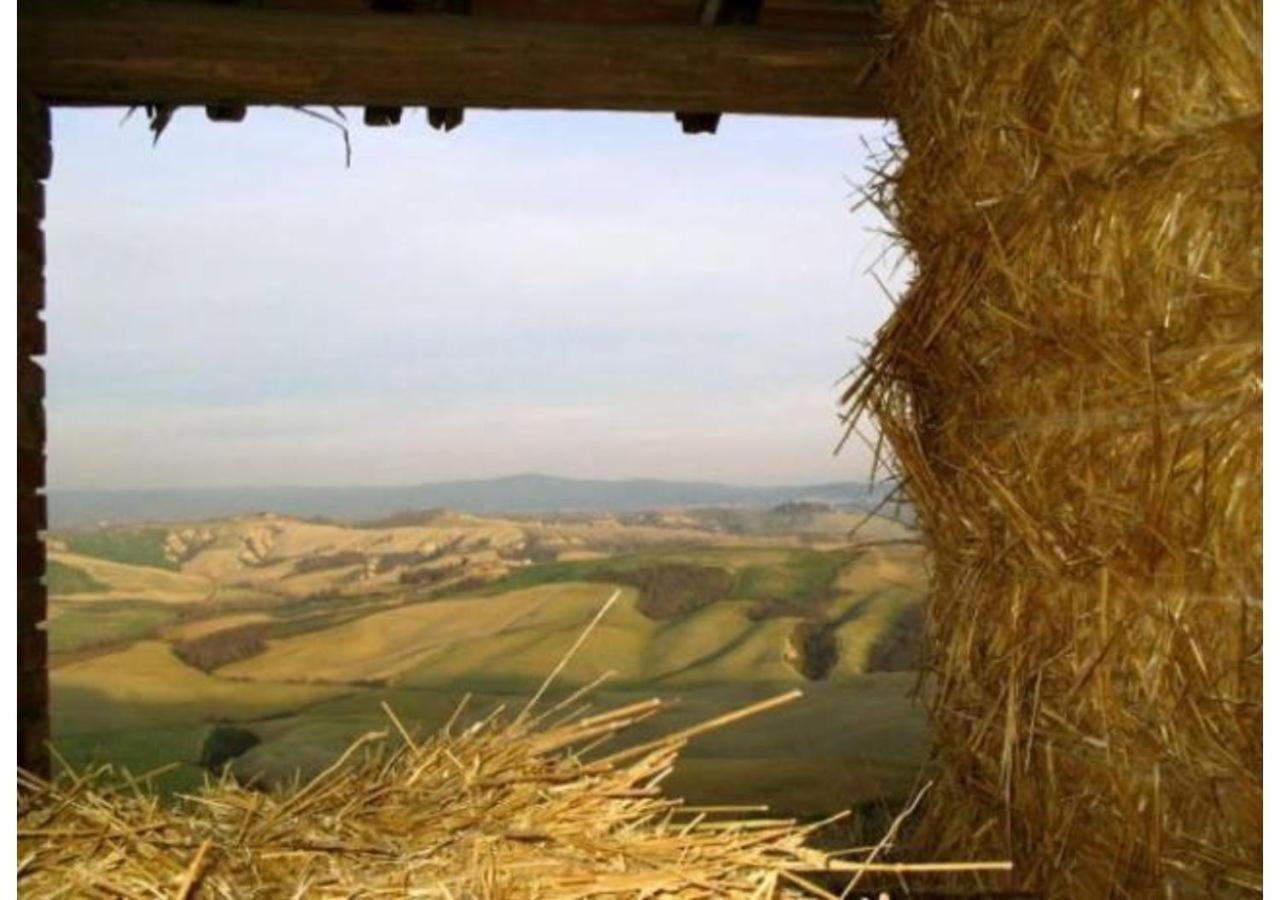 Agriturismo Le Crete - Appartamenti Ашано Экстерьер фото